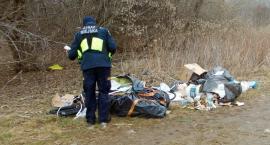Wandalizm w Lesie Bródnowskim: kto odpowie za dewastacje terenu leśnego?