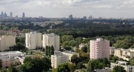 Drzewa przy ulicy Wiernej tworzą zagrożenie dla mieszkańców? Jest wniosek o wykonanie przeglądu