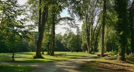Park Bródnowski powinien być rewitalizowany zgodnie z oczekiwaniami mieszkańców
