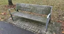 Park Bródnowski potrzebuje drobnej modernizacji