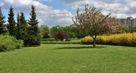 Park Bródnowski potrzebuje paru drobnych zmian