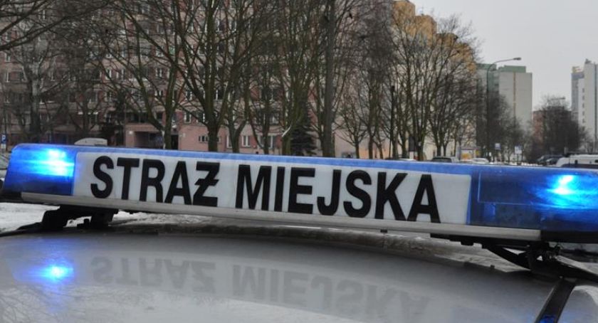 Strażnicy uratowali miasto przed niebezpiecznym rajdem nieodpowiedzialnego kierowcy