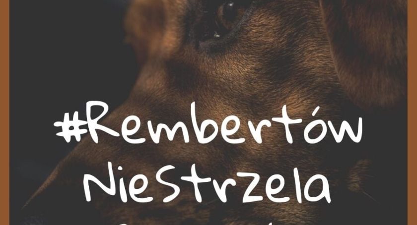 #RembertówNieStrzela w Sylwestra