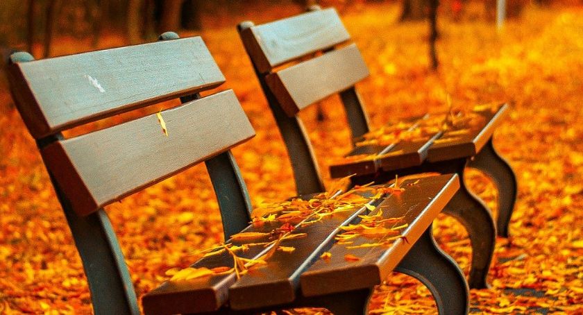 Gdzie staną nowe ławki w Rembertowie?