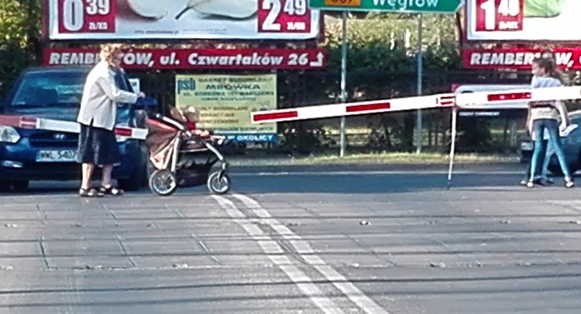Chciała skazać wnuczka na śmierć.