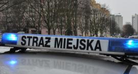 Strażnicy uratowali miasto przed niebezpiecznym rajdem nieodpowiedzialnego kierowcy