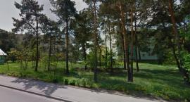 Park przy Frontowej potrzebuje modernizacji? 