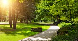 W Rembertowie powstanie nowy park z rozbudowaną infrastrukturą 