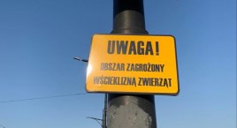 Rembertów obszarem zagrożonym wścieklizną