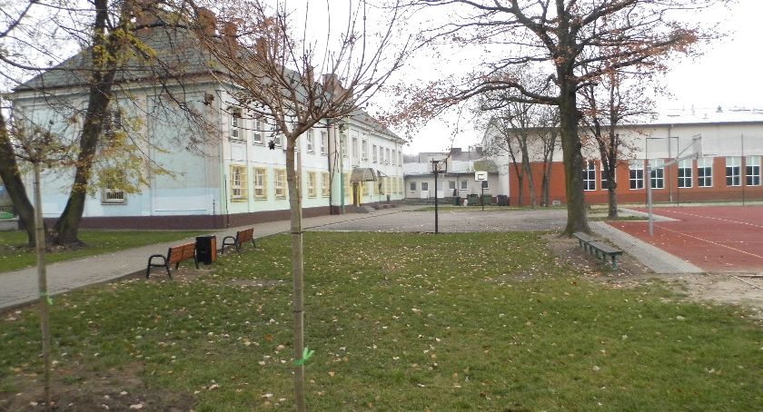 Posadzili drzewa w Lipnie