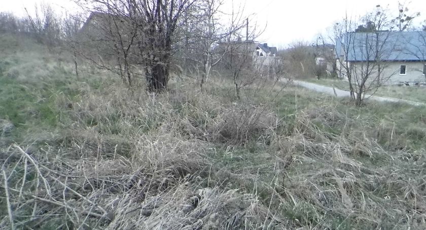 Groźne wypalanie traw