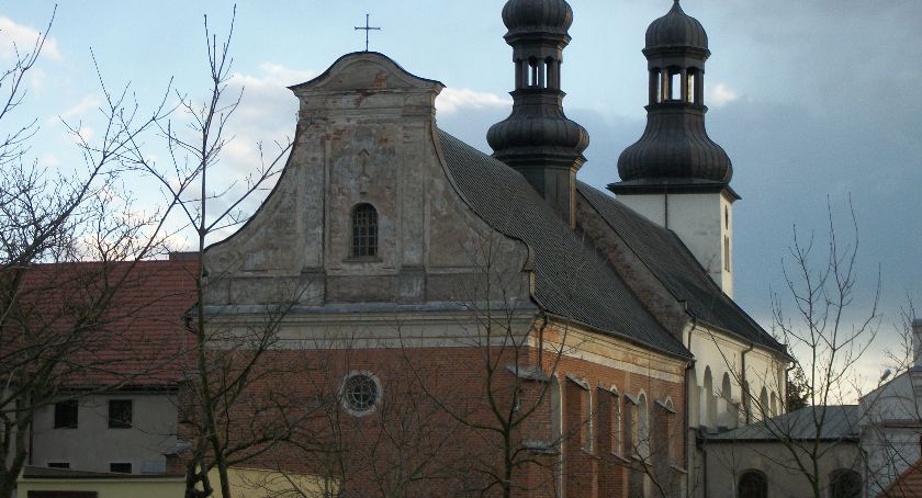 Wiosna w bibliotece