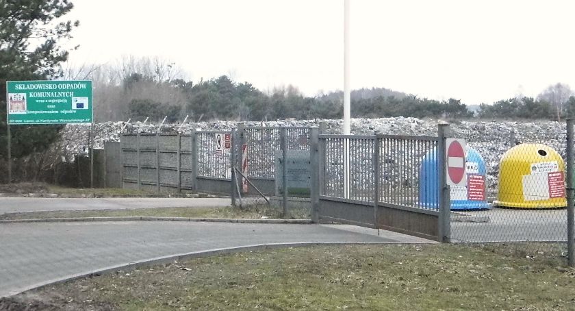 Kto zrobi porządek z bezdomnymi psami?