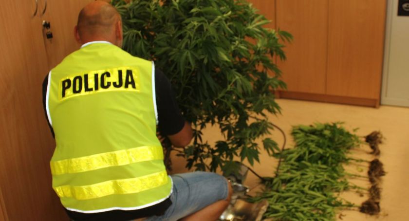 Przyznał się policji do...