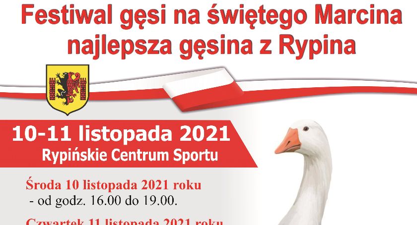 Na świętego Marcina najlepsza gęsina z Rypina