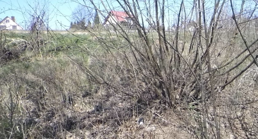 Groźne wypalanie traw