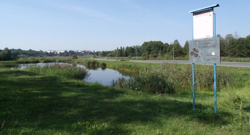 Wędkowanie o puchar