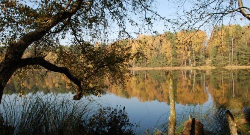 Rezerwat Biosfery Bory Tucholskie