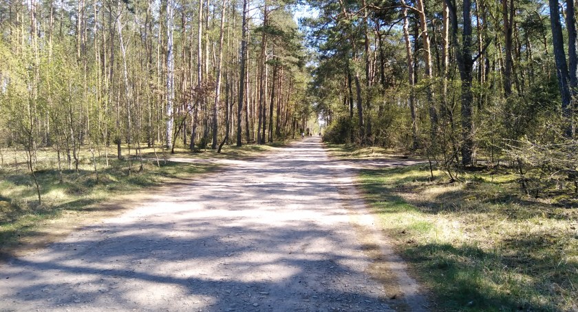 Przyrodę trzeba chronić