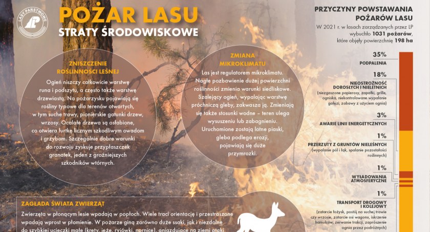 Uważajmy w lesie! Zaczyna się sezon pożarów