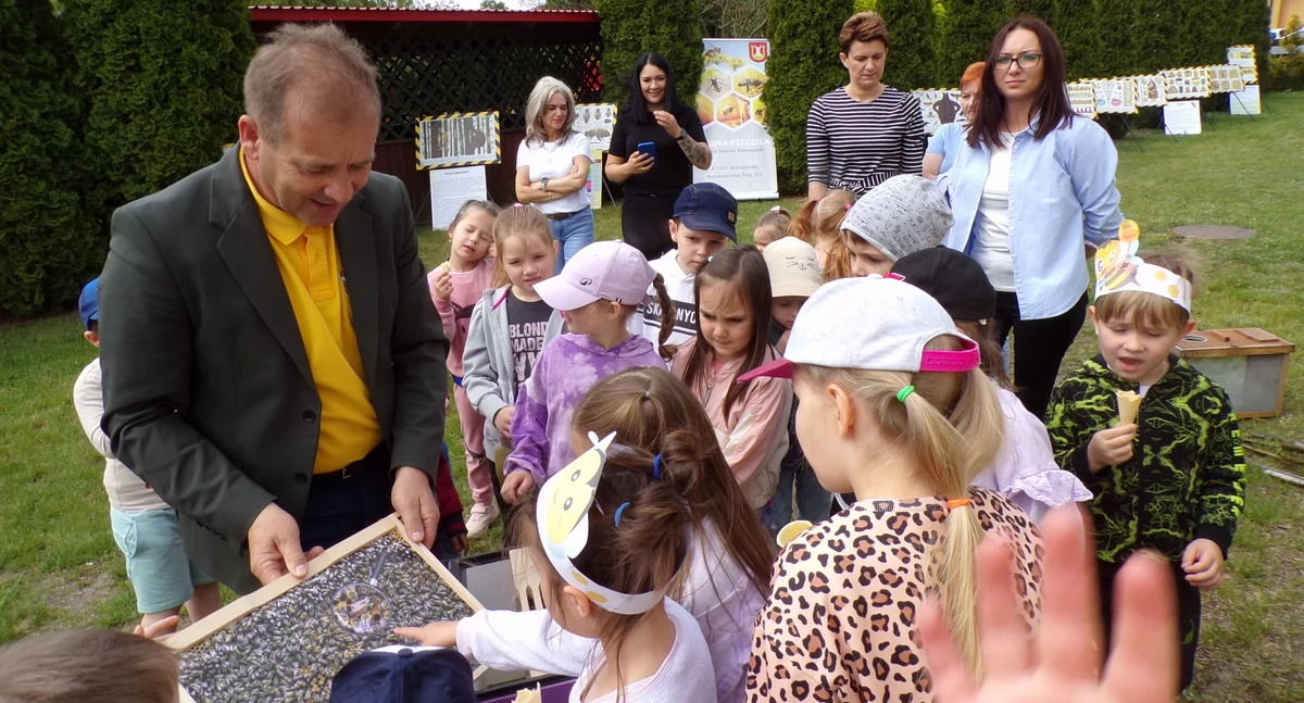 Pszczoły w przedszkolu [zdjęcia]