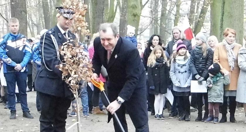Jubileuszowy dąb w Lipnie