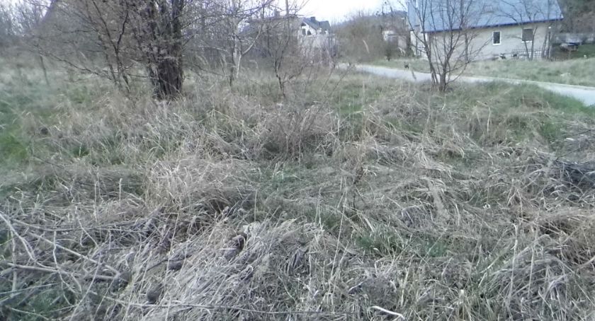 Stop pożarom traw