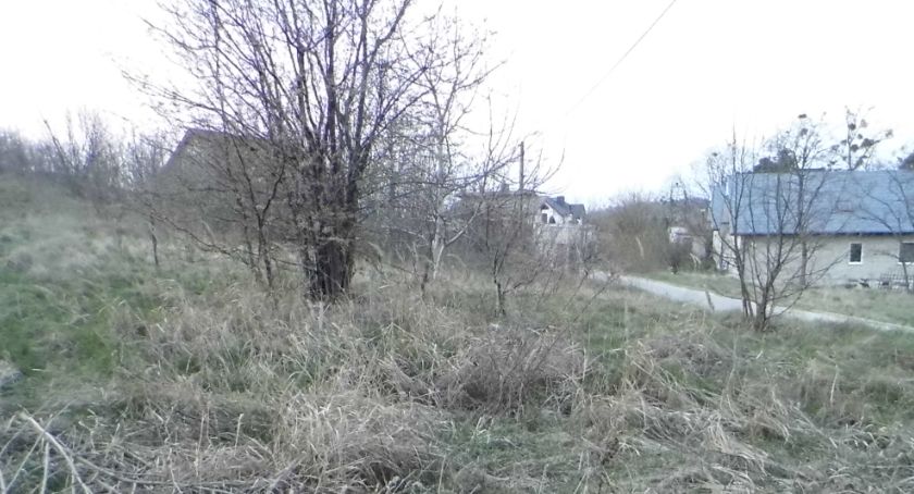 Groźne wypalanie traw