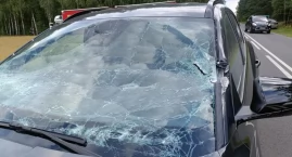 O włos od tragedii. 