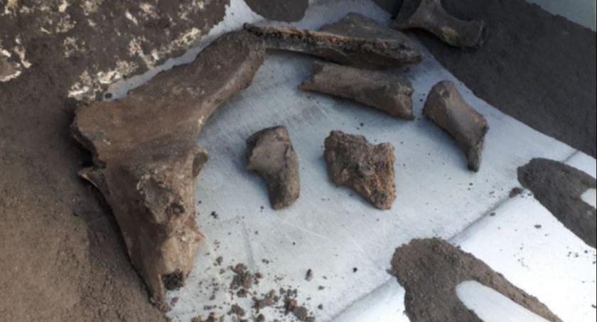 Przy budowie metra archeolodzy mają co robić!