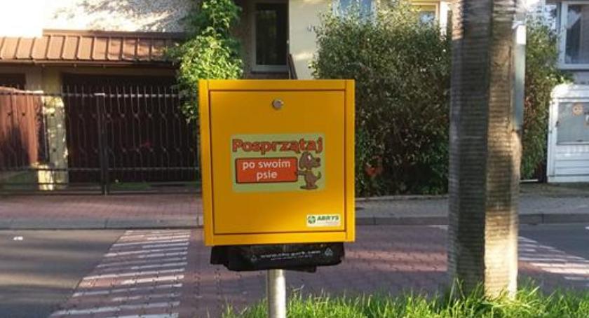Będzie czyściej?