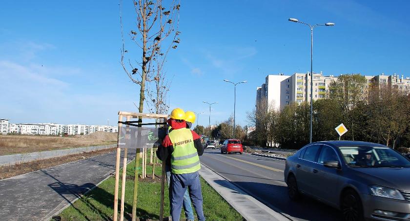 Jest dobrze, będzie zielono