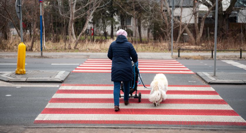 ZDM: pierwszy zrealizowany projekt obywatelski