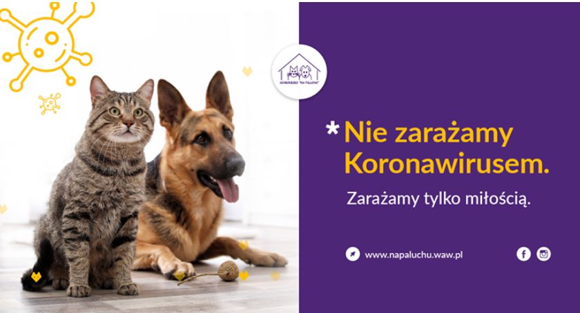 Zmiany w funkcjonowaniu Schroniska Na Paluchu