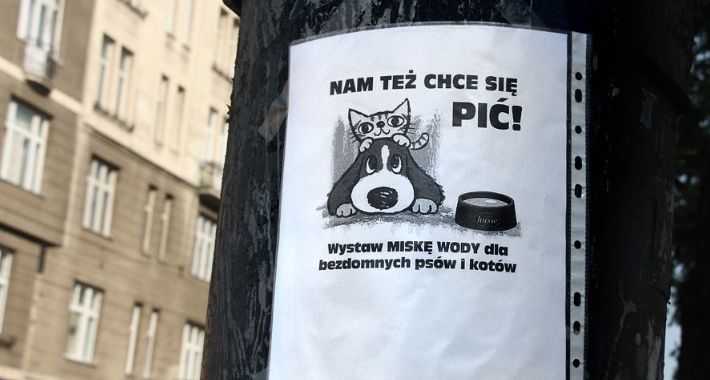 W upały zadbaj także o zwierzęta