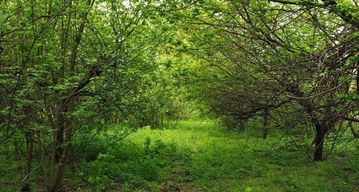 Sąsiedzki piknik na Bemowie