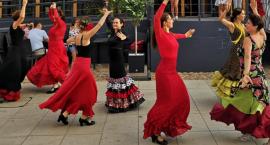 Koncert finałowy Studio Flamenco