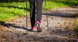 Na Bemowie startuje nowy sezon zajęć nordic walking