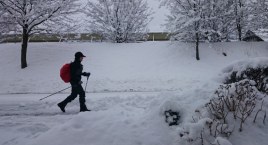 Nic się nie zmienia! Ciąg dalszy zajęć nordic walking dla każdego