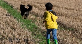Konkurs dla dzieci i młodzieży. Pokaż swojego pupila&hellip;