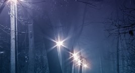 Ten teren powinien być zagospodarowany i bezpieczniejszy
