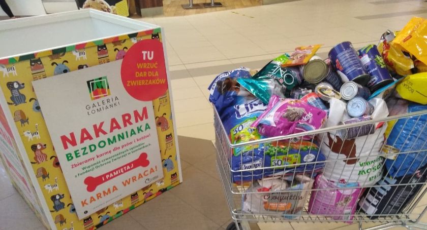 Nakarm bezdomniaka! I pamiętaj - karma wraca!