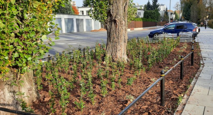 Zakończono pierwszy etap remontu jezdni i chodników na Bielanach