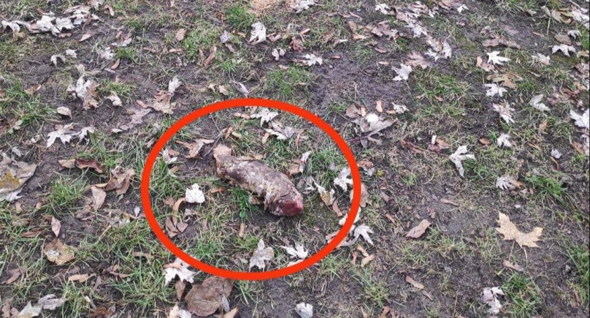 Bielańska plaga? Resztki jedzenia wyrzucane na trawniki