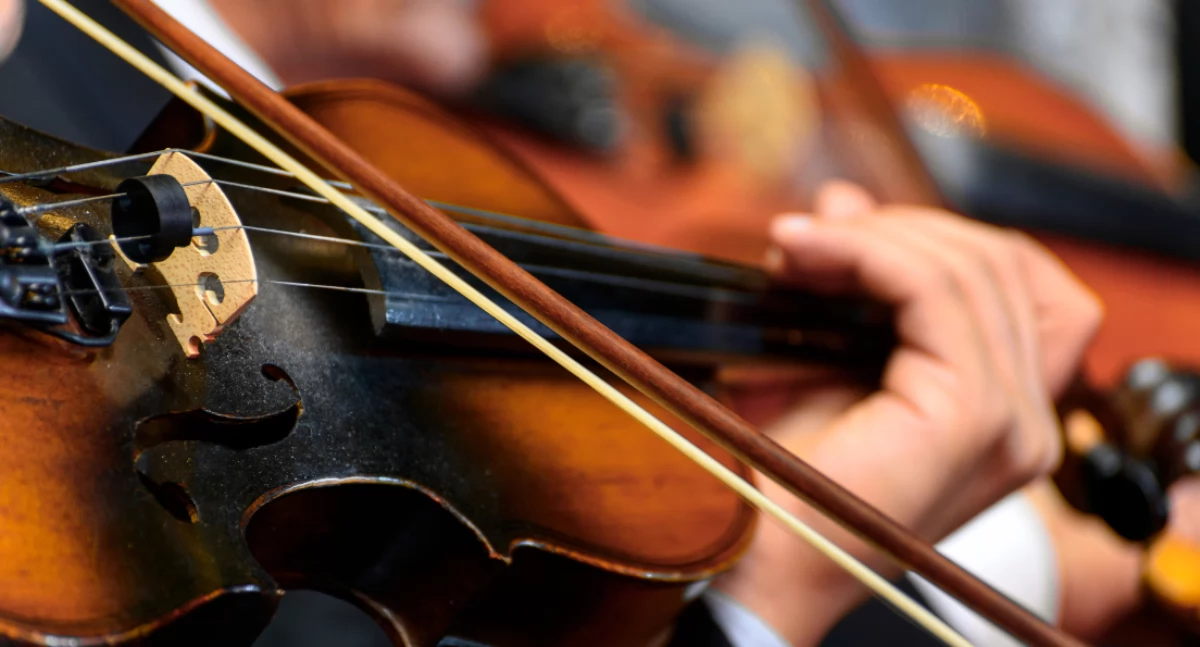 Noworoczne Melodie: Koncert Orkiestry Kameralnej Filharmonii Narodowej