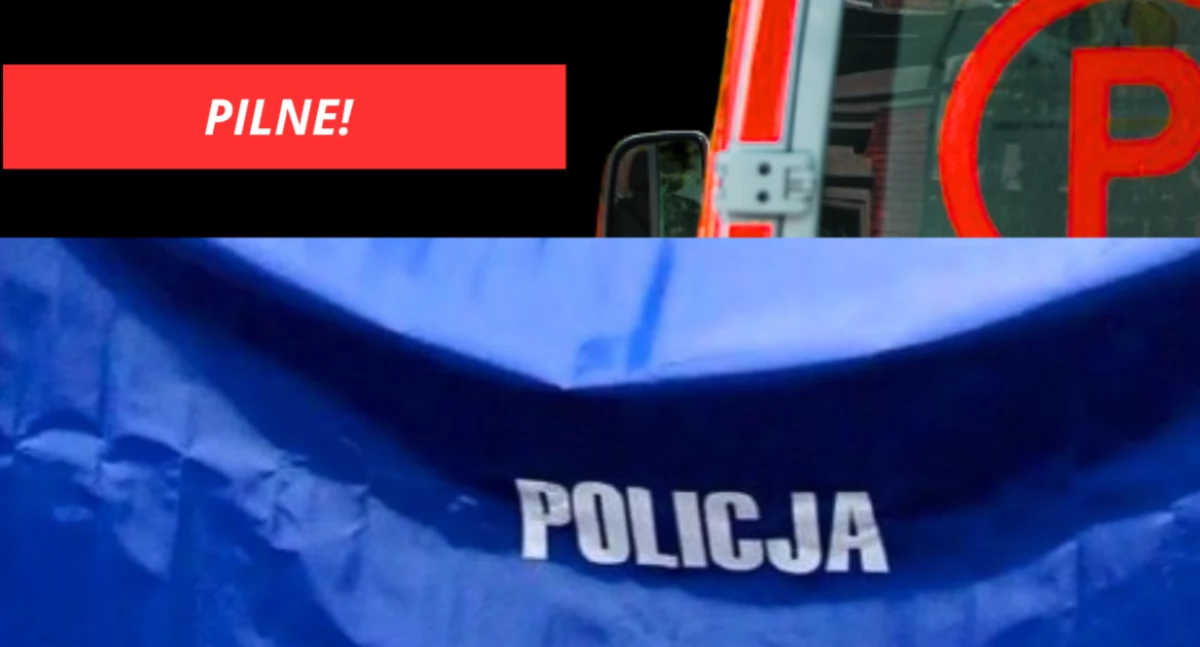 Dramat na działkach ROD na Bielanach. Tragiczne odkrycie