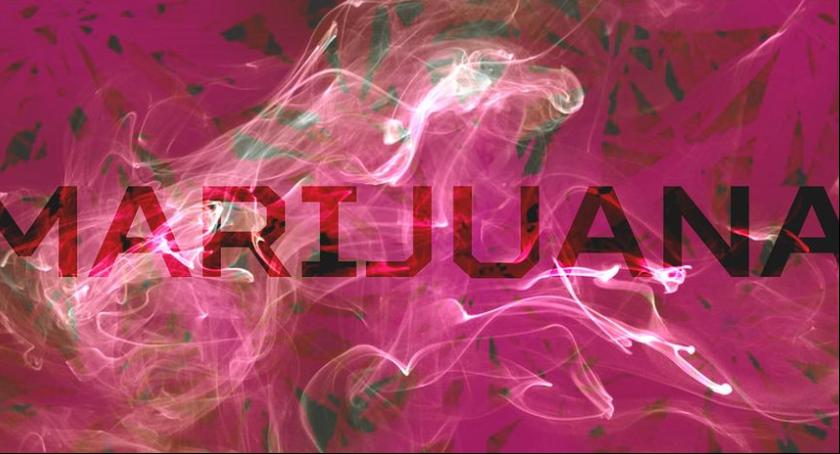 Amfetamina, kokaina i marihuana w jednym z bielańskich mieszkań