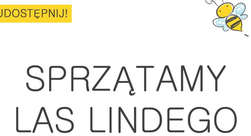 Sąsiedzkie sprzatanie Lasu Lindego już w sobotę