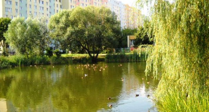 Zielone Bielany