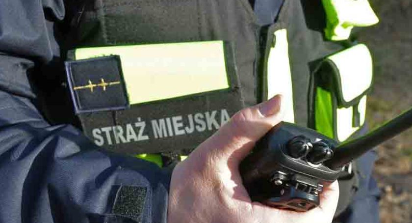 Strażnicy miejscy ujęli sprawcę pobicia